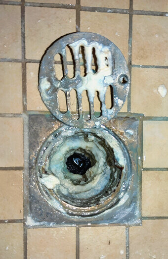 https://blockeddrainswanneroo.com.au/uploads/2025/07/blocked-shower-drains-86331.jpg