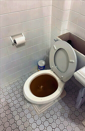 https://blockeddrainswanneroo.com.au/uploads/2025/07/blocked-toilet-99184.jpg
